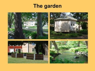 The garden
 