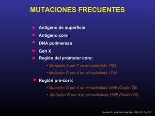 MUTACIONES FRECUENTES

 Antígeno de superficie
 Antígeno core
 DNA polimerasa
 Gen X
 Región del promotor core:
    • Mutación A por T en el nucleótido 1762
    • Mutación G por A en el nucleótido 1764

 Región pre-core:
    • Mutación G por A en el nucleótido 1896 (Codón 28)
    • Mutación G por A en el nucleótido 1899 (Codón 29)



                                   Gunther S., et al. Adv Virus Res. 1995; 52: 25 – 137.
 