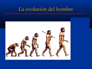 La evolución del hombre
 