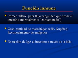 Función inmune
   Primer “filtro” para flujo sanguíneo que drena al
    intestino (normalmente “contaminado”)

   Gran cantidad de macrófagos (céls. Kupffer).
    Reconocimiento de antígenos

   Excreción de IgA al intestino a través de la bilis
 