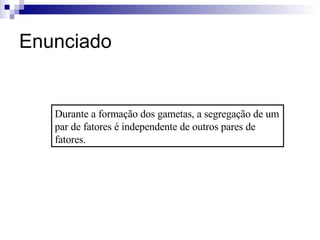 Enunciado Durante a formação dos gametas, a segregação de um par de fatores é independente de outros pares de fatores. 