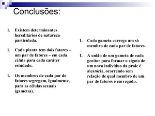 Conclusões : Existem determinantes hereditários de natureza particulada. Cada planta tem dois fatores – um par de fatores – em cada célula para cada caráter estudado. Os membros de cada par de fatores segregam, igualmente, para as células sexuais (gametas). Cada gameta carrega um só membro de cada par de fatores. A união de um gameta de cada genitor para formar o zigoto de um novo indivíduo da prole é aleatória, ocorrendo sem relação de qual membro de um par de fatores é carregado. 