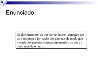 Enunciado: Os dois membros de um par de fatores segregam um do outro para a formação dos gametas de modo que metade dos gametas carrega um membro do par e a outra metade o outro. 