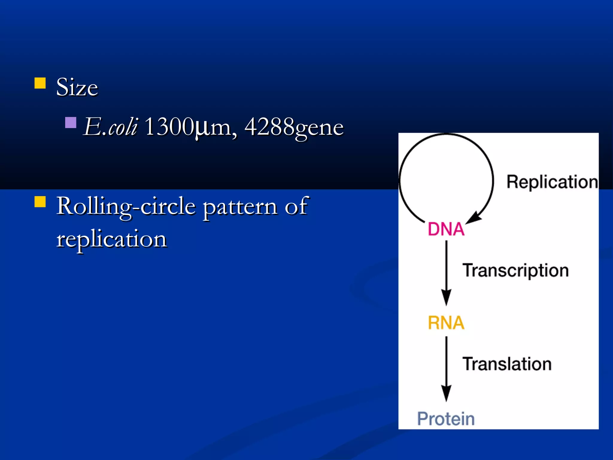 3 heredity and variation of bacteria | PPT