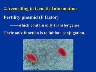 3 heredity and variation of bacteria | PPT