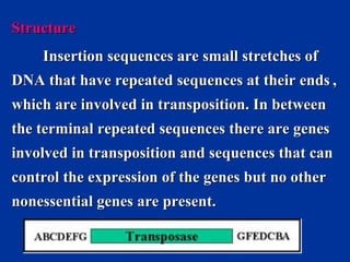 3 heredity and variation of bacteria | PPT