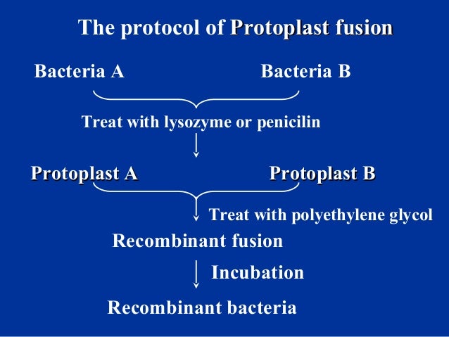 3 heredity and variation of bacteria