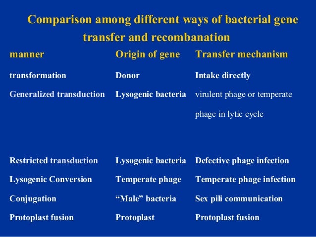 3 heredity and variation of bacteria