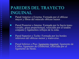 PAREDES DEL TRAYECTO INGUINAL Pared Anterior o Externa: Formada por el oblicuo mayor y fibras del músculo oblicuo menor . Pared Posterior o Interna: Formada por la fascia trans-versalis, grasa preperitoneal, reforzada por el tendón conjunto y ligamentos reflejos de la zona. Pared Superior o Techo: Formada por los bordes inferiores del oblicuo menor y transverso. Pared Inferior o Piso:  ligamento inguinal , ligamento de Colles, ligamento de Gimbernat, reforzada por el ligamento de Henle. 