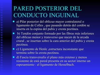 PARED POSTERIOR DEL CONDUCTO INGUINAL  a) Pilar posterior del oblicuo mayor contralateral o ligamento de Colles , que pasando detrás del cordón se inserta en la espina del pubis y cresta pectínea. b) Tendón conjunto formado por las fibras más inferiores del oblicuo menor y transverso que nacen de la arcada crural , se insertan sobre la cara anterior del pubis y cresta pectínea.  c) Ligamento de Henle ,estructura inconstante que termina sobre la cresta pectínea.  d) Fascia transversalis el plano más extenso y menos resistente de está pared presenta en su sector interno un espesamiento : el ligamento de Hesselbach.  
