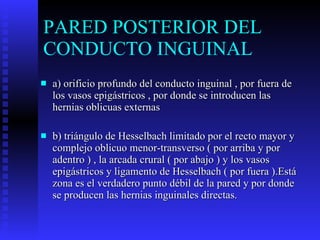PARED POSTERIOR DEL CONDUCTO INGUINAL  a) orificio profundo del conducto inguinal , por fuera de los vasos epigástricos , por donde se introducen las hernias oblicuas externas  b) triángulo de Hesselbach limitado por el recto mayor y complejo oblicuo menor-transverso ( por arriba y por adentro ) , la arcada crural ( por abajo ) y los vasos epigástricos y ligamento de Hesselbach ( por fuera ).Está zona es el verdadero punto débil de la pared y por donde se producen las hernias inguinales directas.  