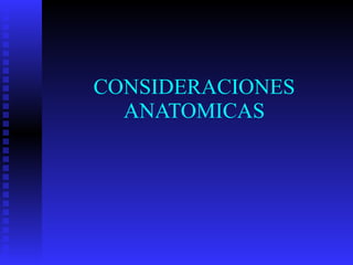 CONSIDERACIONES ANATOMICAS 