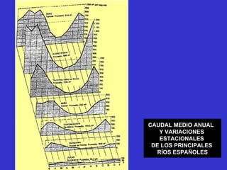 CAUDAL MEDIO ANUAL  Y VARIACIONES  ESTACIONALES  DE LOS PRINCIPALES  RÍOS ESPAÑOLES 