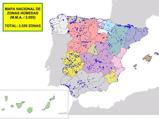 MAPA NACIONAL DE ZONAS HÚMEDAS (M.M.A. / 2.005) TOTAL: 2.559 ZONAS 