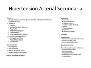 Hipertensión Arterial Secundaria
 