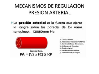 MECANISMOS DE REGULACION
PRESION ARTERIAL
 