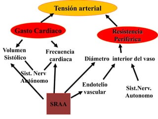 Tensión arterial
Gasto Cardiaco
Sist. Nerv
Autónomo
Frecuencia
cardiaca
Volumen
Sistólico Diámetro interior del vaso
Endotelio
vascular
Sist.Nerv.
Autonomo
Resistencia
Periférica
SRAA
 