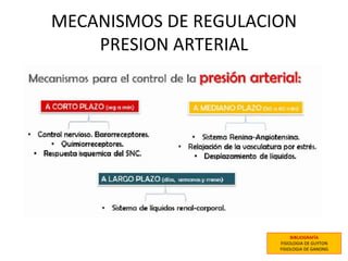 MECANISMOS DE REGULACION
PRESION ARTERIAL
BIBLIOGRAFÍA
FISIOLOGIA DE GUYTON
FISIOLOGIA DE GANONG
 