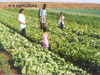 ... e a agricultura

 