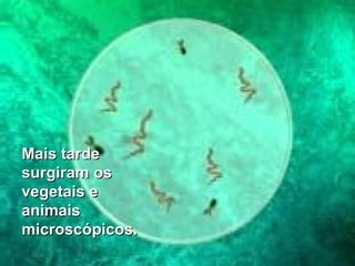 Mais tarde
surgiram os
vegetais e
animais
microscópicos.

 