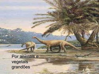 Por animais e
vegetais
grandões

 