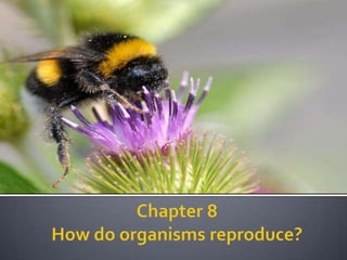 3. how do organism reproduce