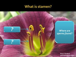 ?     Where are
    sperms found?


?
 