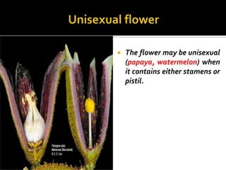    The flower may be unisexual
    (papaya, watermelon) when
    it contains either stamens or
    pistil.
 