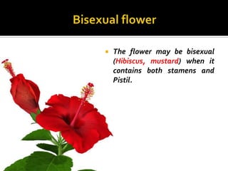    The flower may be bisexual
    (Hibiscus, mustard) when it
    contains both stamens and
    Pistil.
 