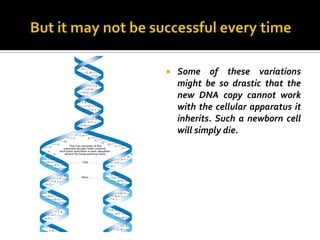    Some of these variations
    might be so drastic that the
    new DNA copy cannot work
    with the cellular apparatus it
    inherits. Such a newborn cell
    will simply die.
 