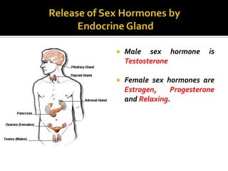    Male sex hormone       is
    Testosterone

   Female sex hormones are
    Estrogen,    Progesterone
    and Relaxing.
 