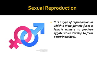    It is a type of reproduction in
    which a male gamete fuses a
    female gamete to produce
    zygote which develop to form
    a new individual.
 
