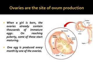    When a girl is born, the
    ovaries already contain
    thousands of immature
    eggs.      On      reaching
    puberty, some of these start
    maturing.

   One egg is produced every
    month by one of the ovaries.
 