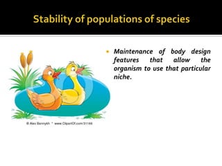    Maintenance of body design
    features   that   allow     the
    organism to use that particular
    niche.
 
