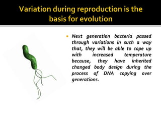    Next generation bacteria passed
    through variations in such a way
    that, they will be able to cope up
    with     increased     temperature
    because, they have inherited
    changed body design during the
    process of DNA copying over
    generations.
 