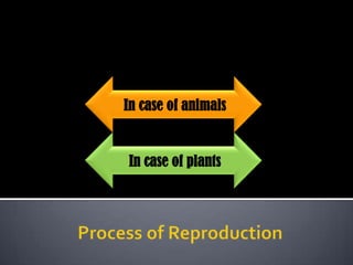 In case of animals


In case of plants
 