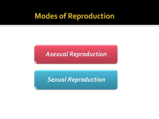 Asexual Reproduction


Sexual Reproduction
 