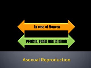 In case of Monera


Protista, Fungi and in plants
 