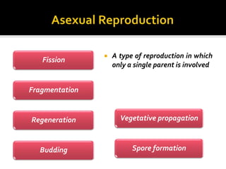    A type of reproduction in which
   Fission
                    only a single parent is involved


Fragmentation


Regeneration          Vegetative propagation



  Budding                 Spore formation
 