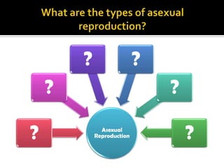 ?                  ?
    ?                          ?

?             Asexual
            Reproduction           ?
 
