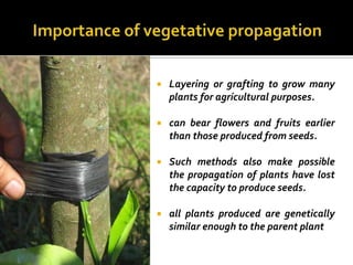    Layering or grafting to grow many
    plants for agricultural purposes.

   can bear flowers and fruits earlier
    than those produced from seeds.

   Such methods also make possible
    the propagation of plants have lost
    the capacity to produce seeds.

   all plants produced are genetically
    similar enough to the parent plant
 