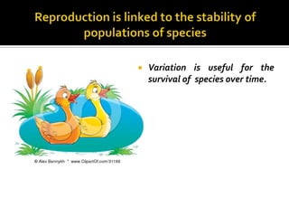    Variation is useful for the
    survival of species over time.
 