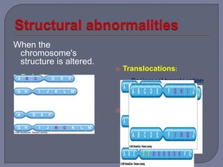 When the
chromosome's
structure is altered.
 Deletions
 Duplications
 Inversions
 Rings
 Translocations:
• Reciprocal translocation
• Robertsonian
Isochromosome
 Chromosome
instability
syndromes
 