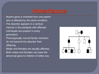  Mutant gene is inherited from one parent
who is affected by the same condition.
 The disorder appears in a vertical
manner in the pedigree with affected
individuals are present in every
generation.
 Phenotypically normal family members
do not transmit the disorder their
offspring.
 Males and females are equally affected.
 Both males and females can pass the
abnormal gene to children of either sex.
 