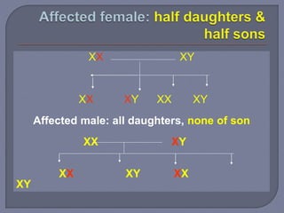 XX XY
XX XY XX XY
Affected male: all daughters, none of son
XX XY
XX XY XX
XY
 