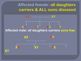 XX XY
XX XY XX XY
Affected male: all daughters carriers sons free
XX XY
XX XY XX
XY
 