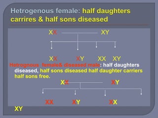 XX XY
XX XY XX XY
Hetrognous female& diseased male: half daughters
diseased, half sons diseased half daughter carriers
half sons free.
XX XY
XX XY XX
XY
 
