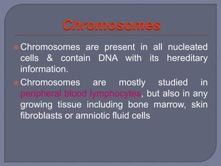  Chromosomes are present in all nucleated
cells & contain DNA with its hereditary
information.
 Chromosomes are mostly studied in
peripheral blood lymphocytes, but also in any
growing tissue including bone marrow, skin
fibroblasts or amniotic fluid cells
 