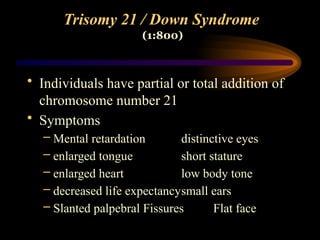 Trisomy 21 / Down Syndrome
• Individuals have partial or total addition of
chromosome number 21
• Symptoms
– Mental retardation distinctive eyes
– enlarged tongue short stature
– enlarged heart low body tone
– decreased life expectancysmall ears
– Slanted palpebral Fissures Flat face
(1:800)
 