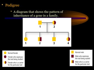 • Pedigree
• A diagram that shows the pattern of
inheritance of a gene in a family.
 